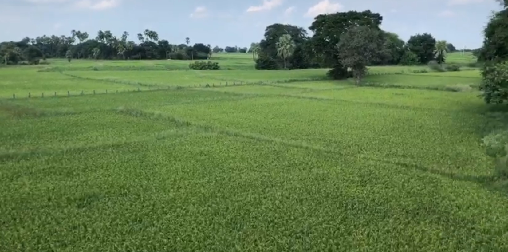 Agricultural land for sale - Maddur Siddipet Telangana