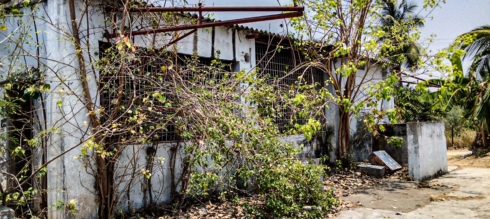 Independent house for sale Miryalaguda Telangana - (ID – 26021322)