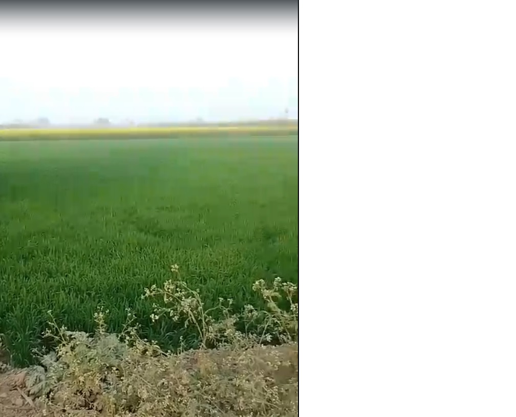 Agricultural Land for sale Baraut Uttar Pradesh