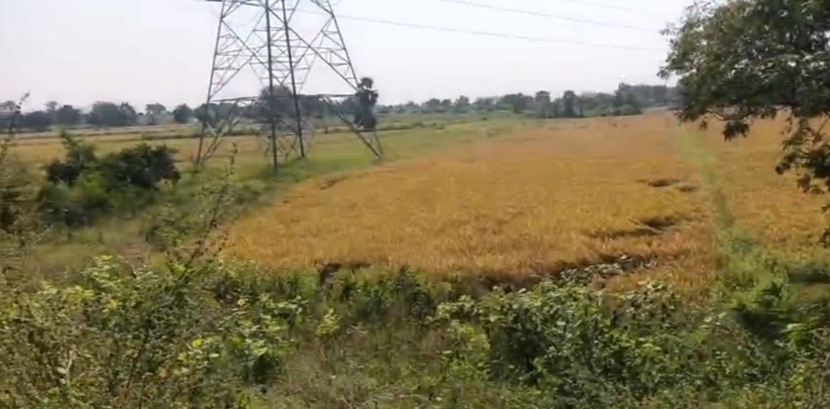 Agricultural land for sale - Yadadri Bhuvanagiri Telangana