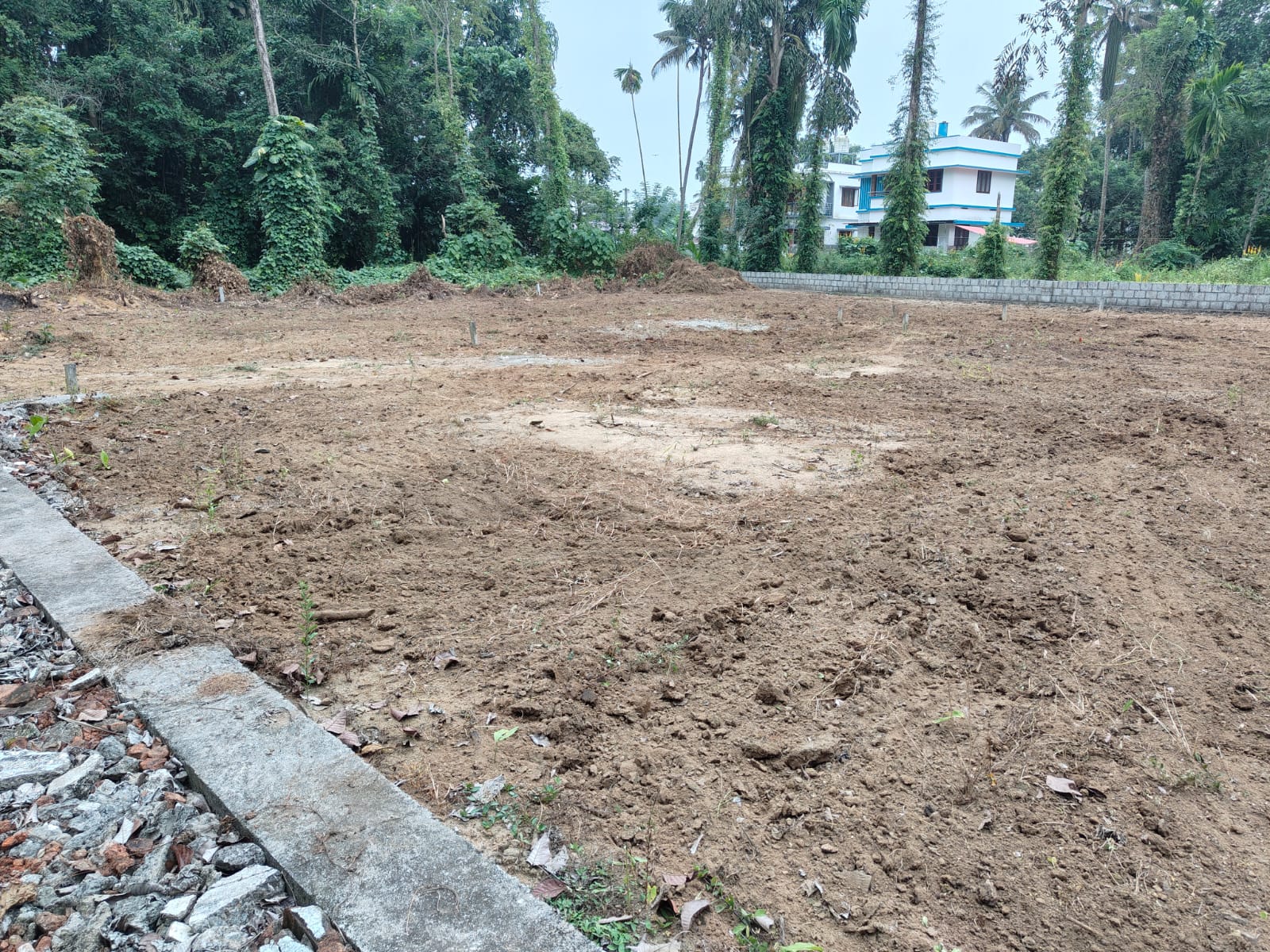 21 cents square plot for sale in manjummel(purayidam)@kochi