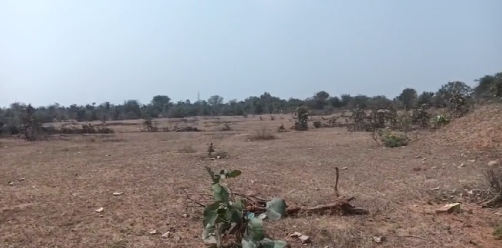 Open land for sale - Janagaon Telangana
