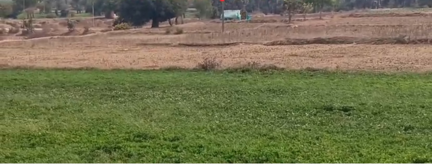 Agricultural land for sale - Ghattu Mahaboob Nagar Telangana