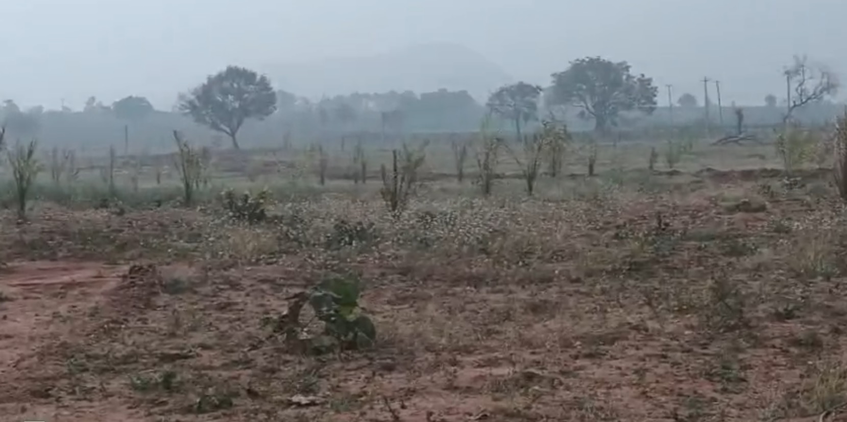Land for sale in Bucchannapeta Telangana