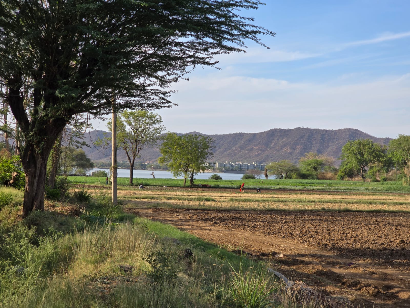Land for sale Udaipur Rajasthan