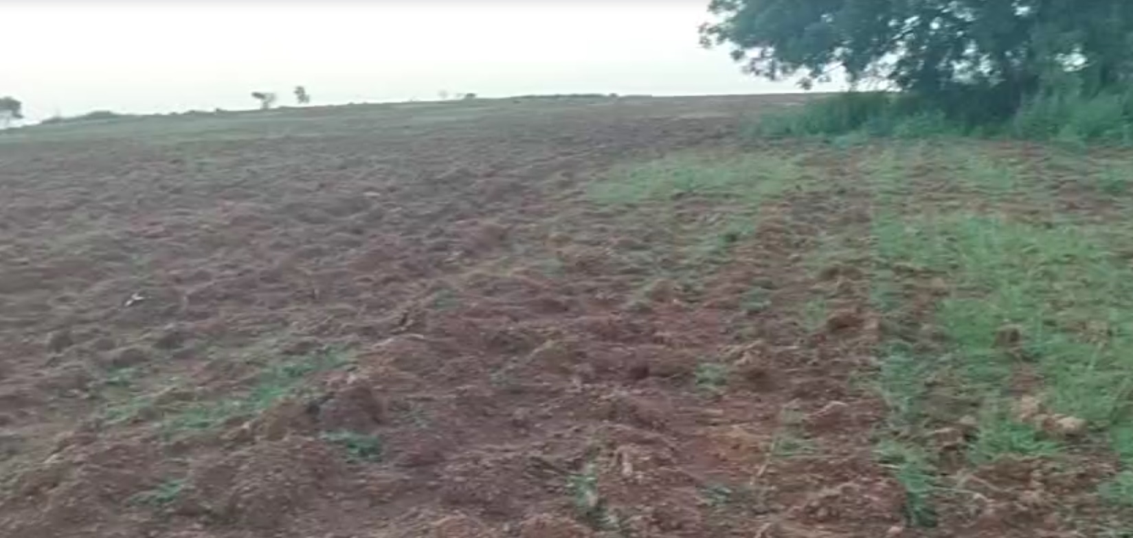 Agricultural land for sale - Vanampally Telangana