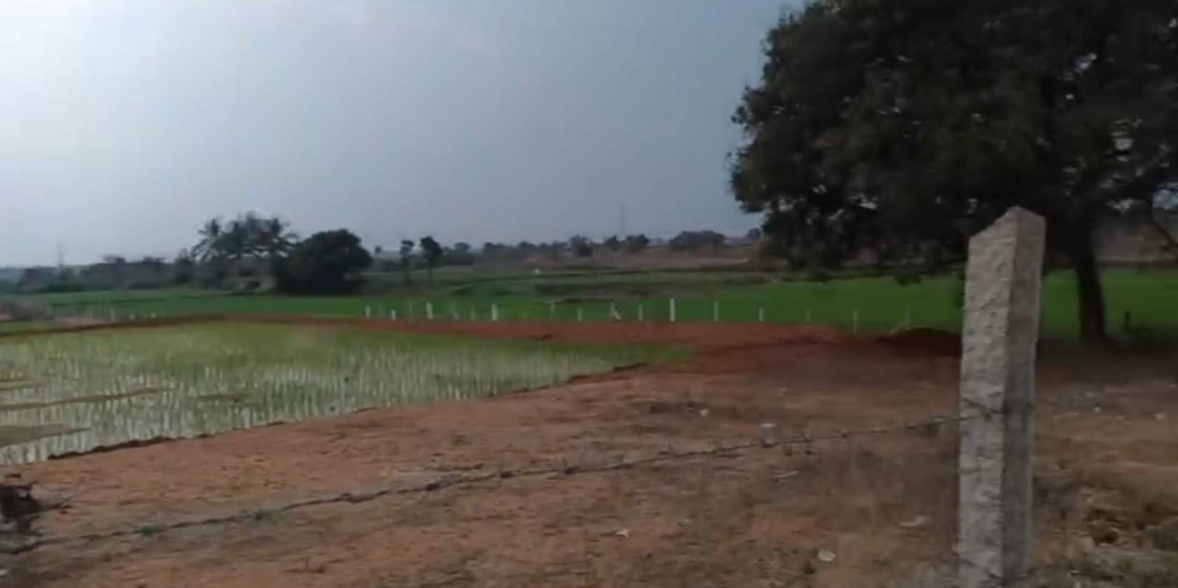 Agricultural land for sale - Buchannapet Telangana