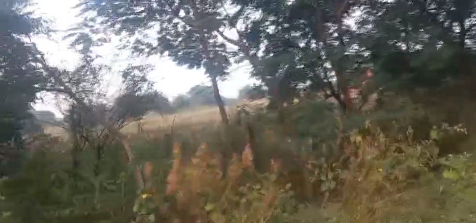 Land for sale Shankarpalli Telangana