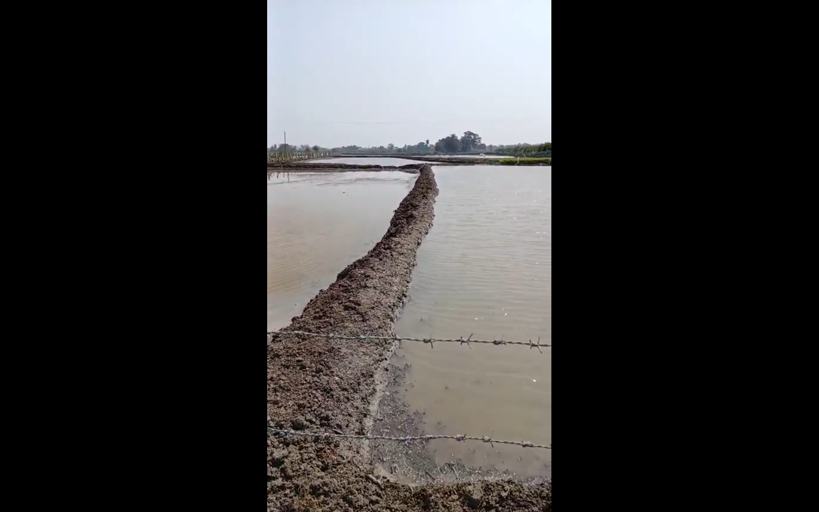 Agricultural land for sale in Kandukur Telangana