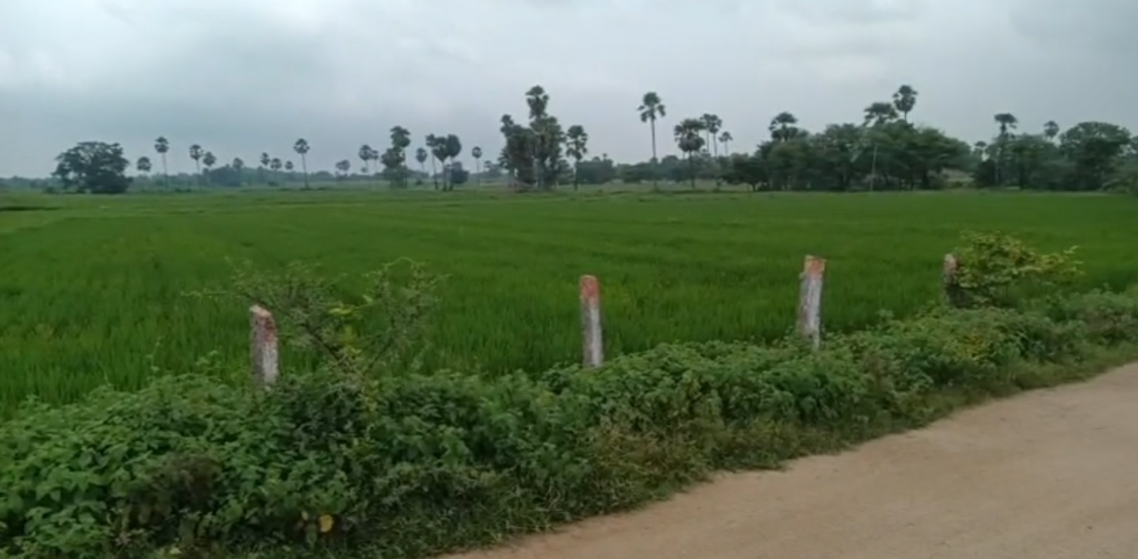 Agricultural land for sale - Telangana