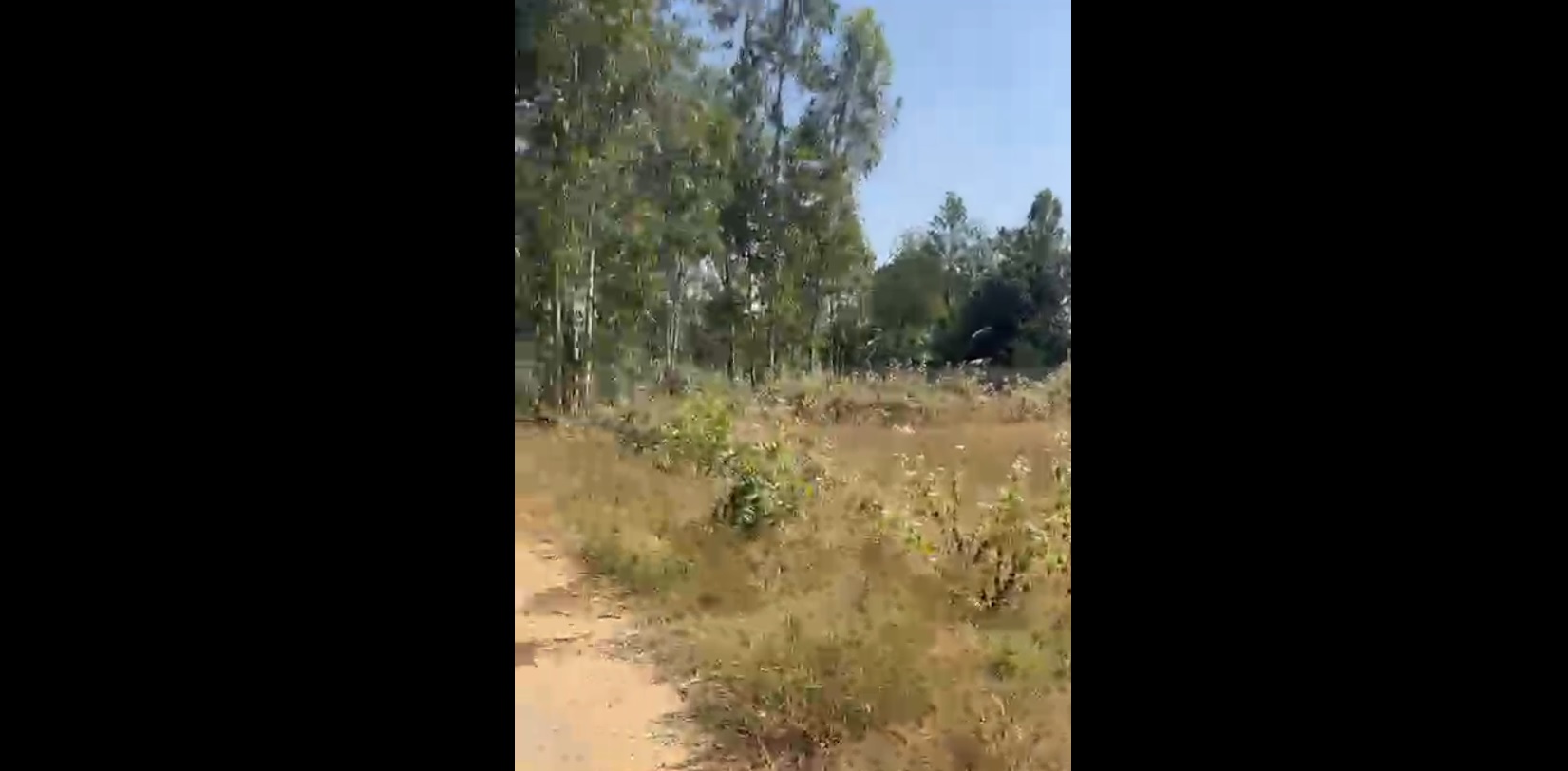 Land for sale in Devanahalli Karnataka