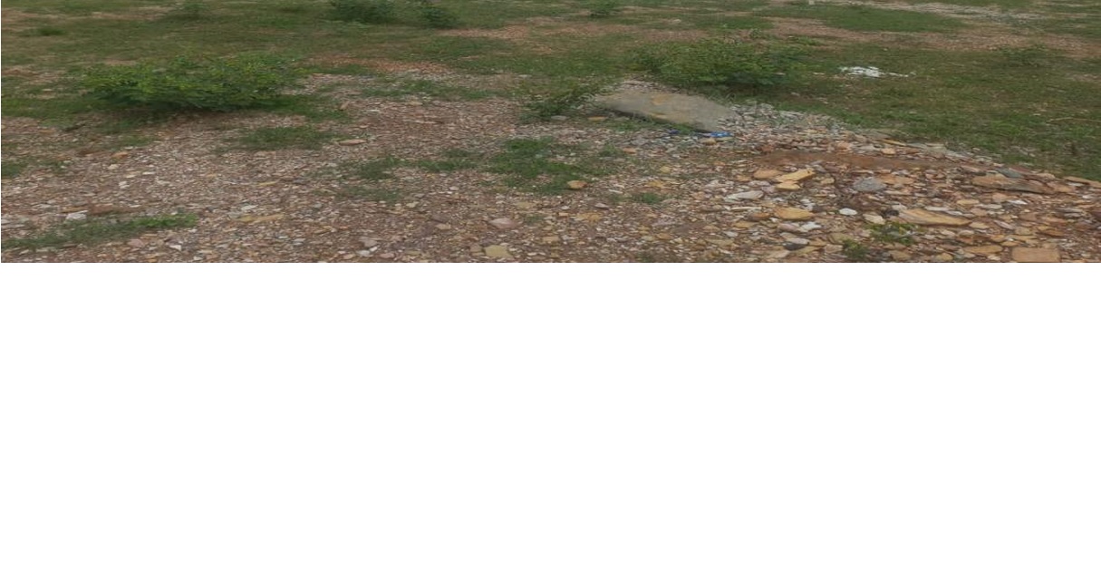 CB-2026012030 – Open Land