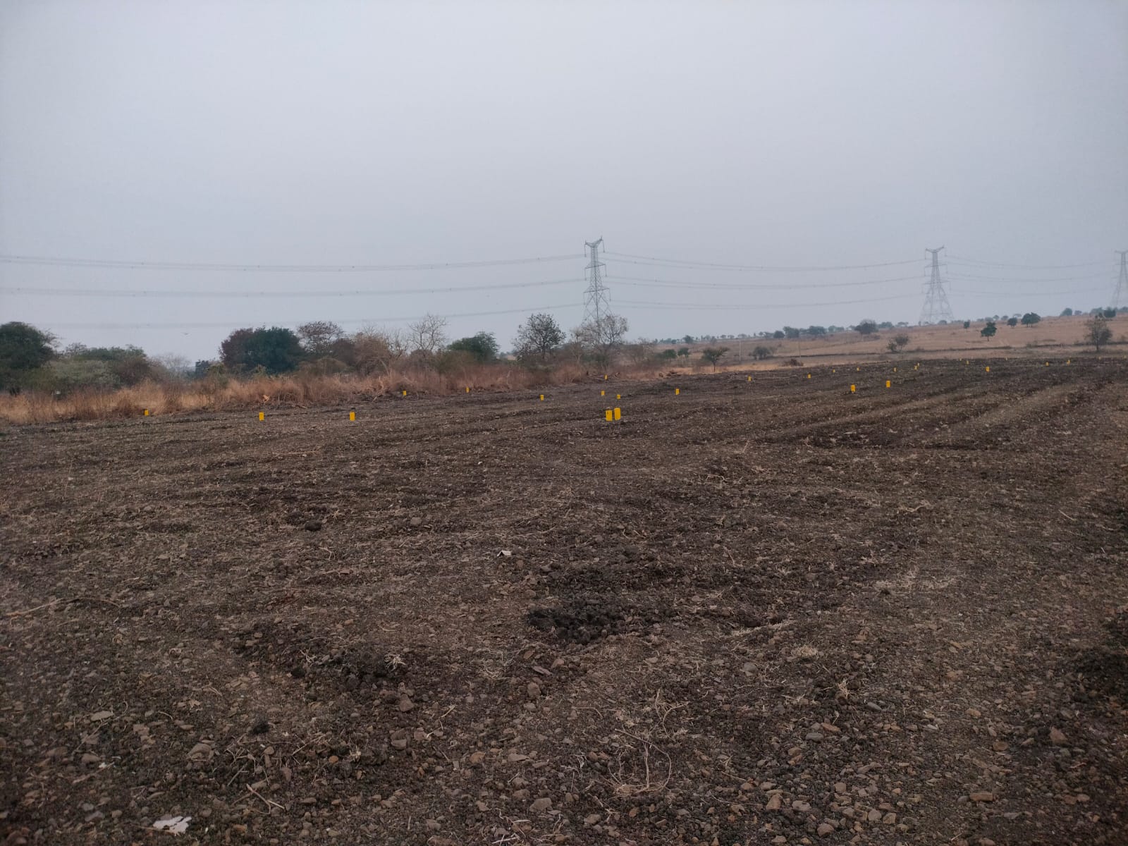 Agricultural land for sale - Narayankhed Telangana