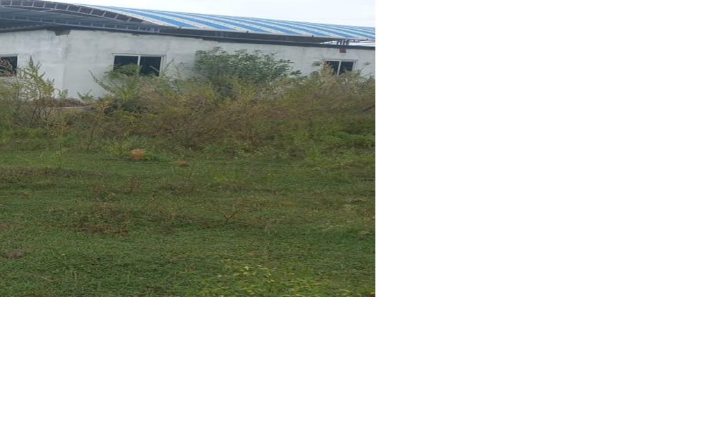 CB-2026012025 – Open Land