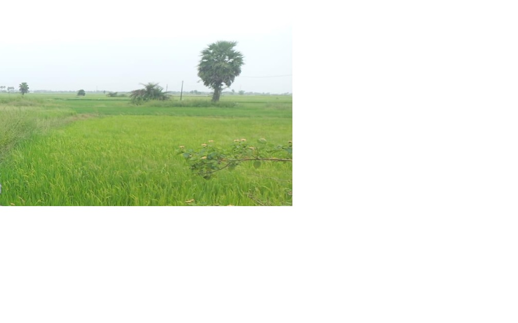 CB-2026012027 – Open Land