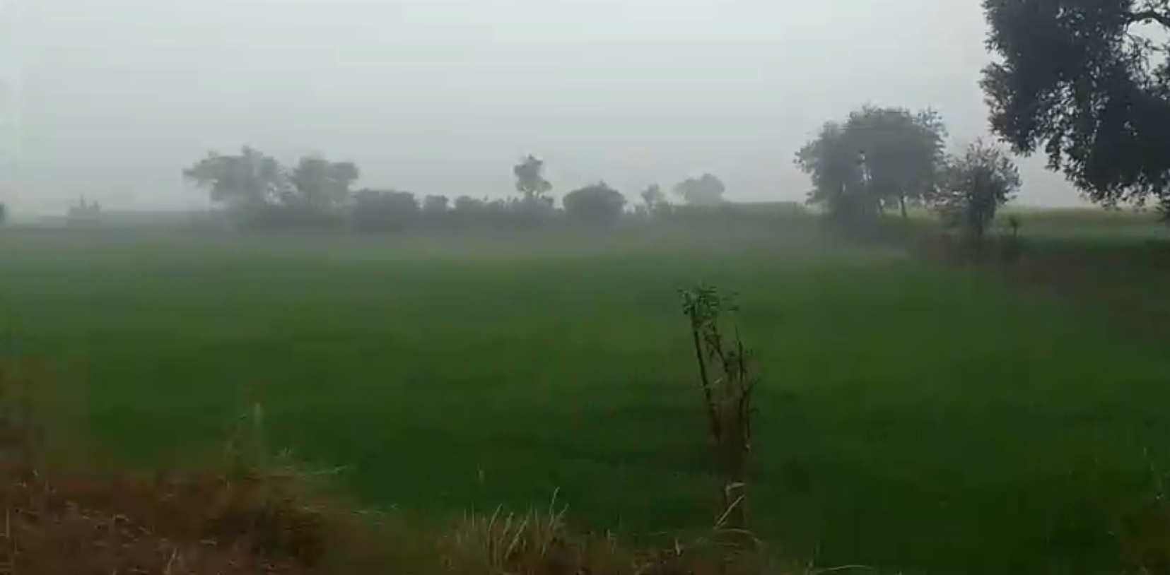 Agricultural land for sale - Baraut Uttar Pradesh