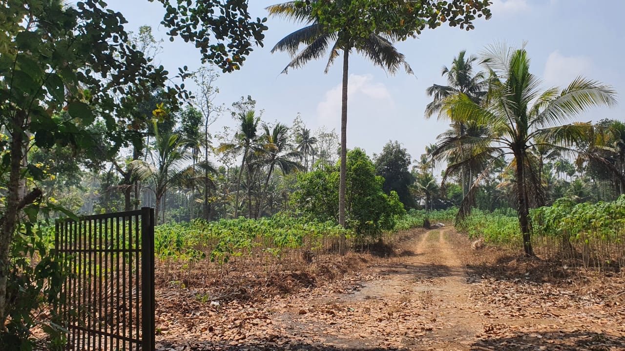 Villa project