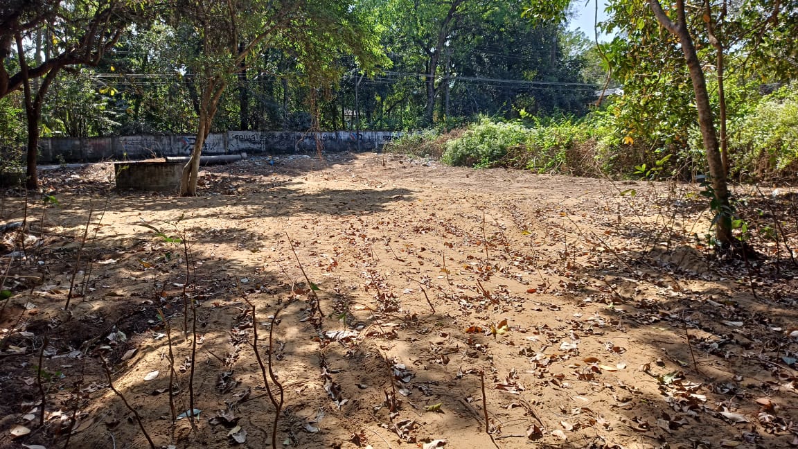 Residential Plot
