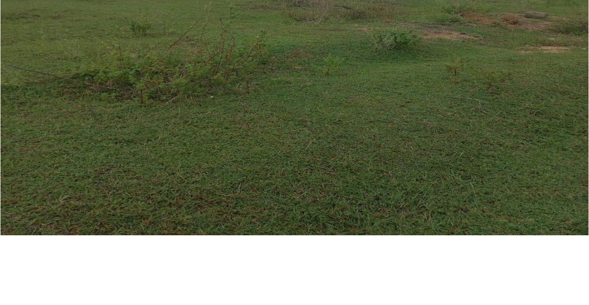 CB-2026012028 – Open Land