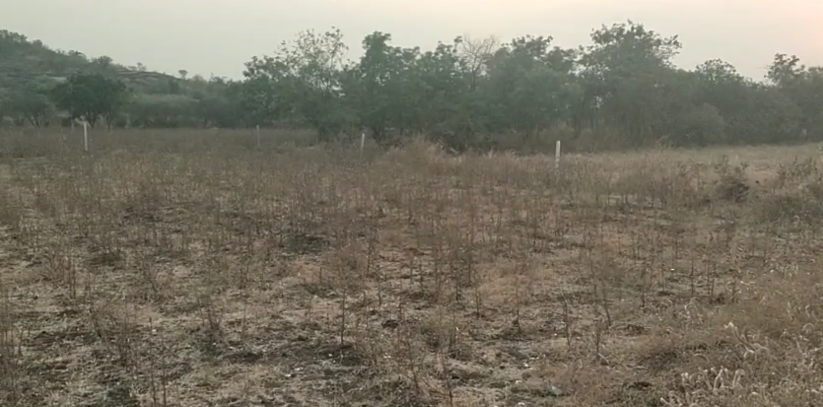 Land for sale - Nalyakal Telangana